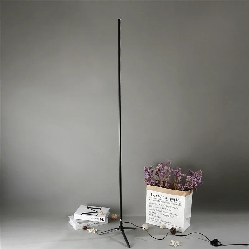 Modern minimalist nordic LED floor lamp for study