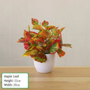 Artificial bonsai plant for indoor decoration