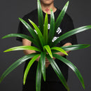 Artificial cymbidium plants for indoor and outdoor garden decor