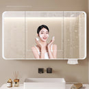smart wardrobe with illuminated storage and separate toilet