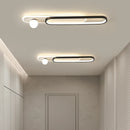 Modern LED ceiling light for foyer, hotel lobby and home