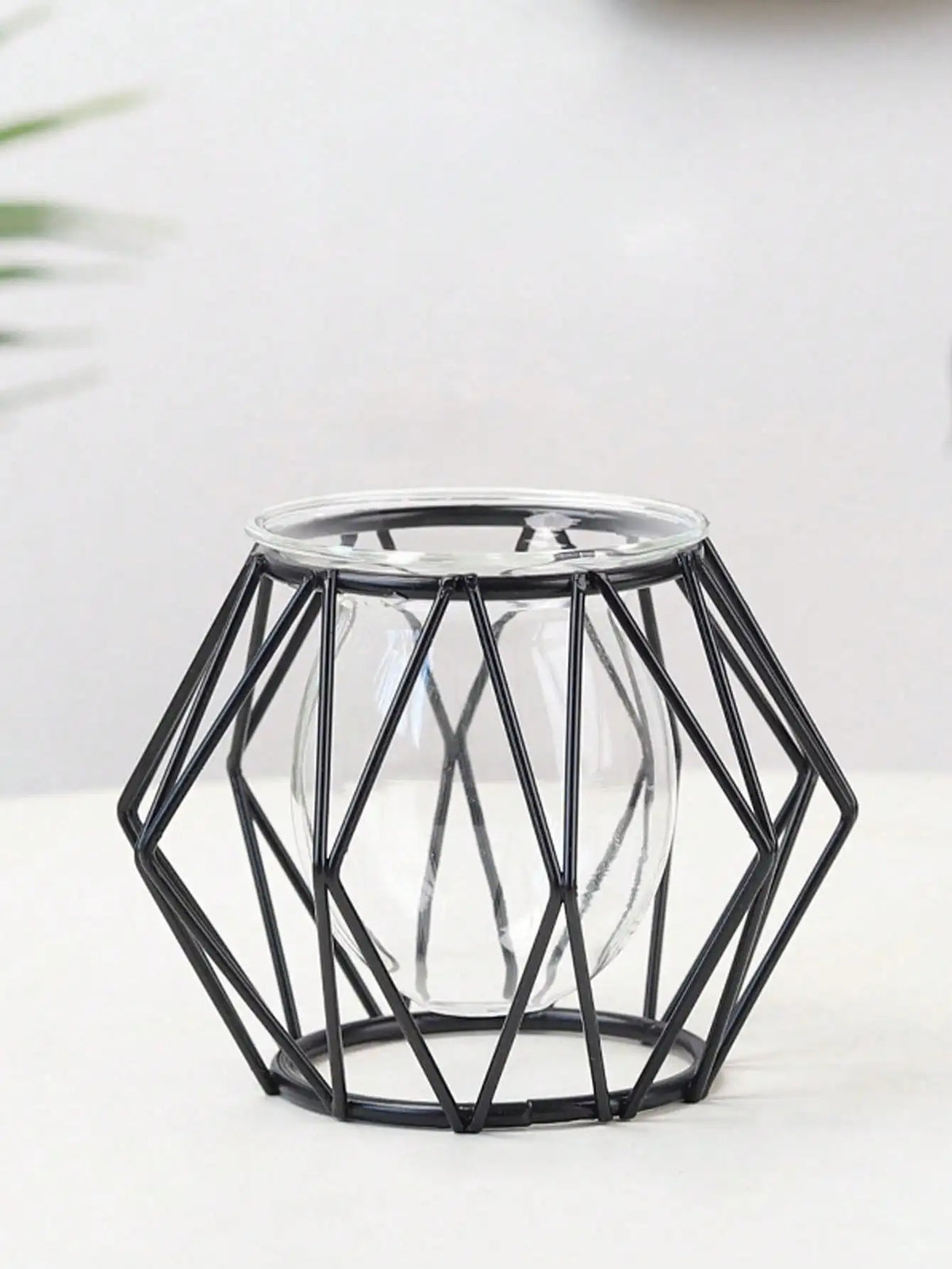 transparent flower arrangement for interior decoration with water plants - vue 5 sur 6