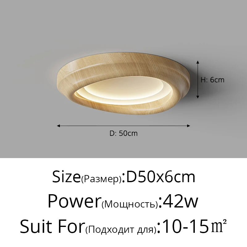 Modern Nordic ceiling light for elegant and stylish interior decor