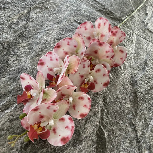 Artificial phalaenopsis decorative orchid for weddings and gardens - vue 10 sur 23