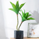 Tropical artificial succulent plants for indoor and outdoor decoration