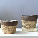 seagrass basket handwoven planter decorative for home