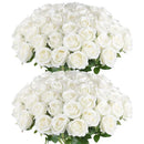 Set of 50 artificial silk roses for decoration and festive events