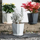 Nordic style plastic flower pot, trendy and simple