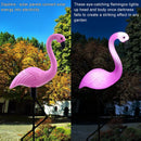 Decorative solar flamingo lights for outdoor and garden