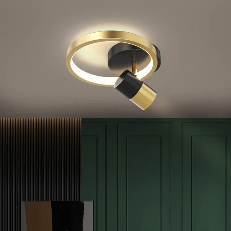 Modern LED ceiling light for elegant interior decoration