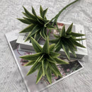 Tropical potted plant with decorative palm and bamboo