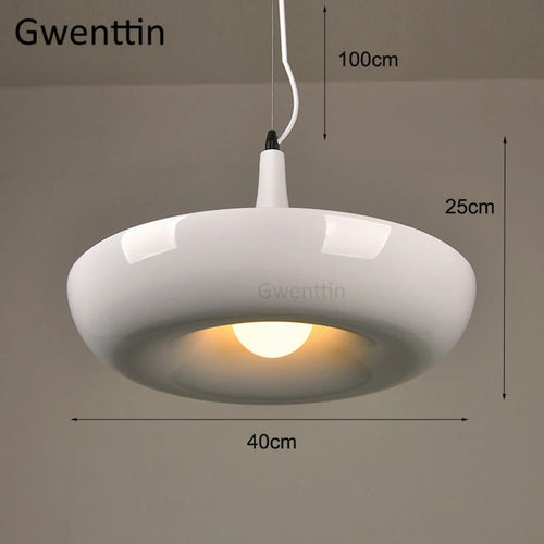 Diy plant pendant light for modern interior decor - vue 9 sur 8