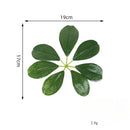 Set of 5 artificial plants for wedding and restaurant decor