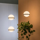 Modern nordic chandelier with hanging led flower pot