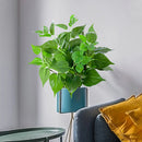 Decorative artificial scindapsus plants for indoor and outdoor use