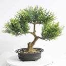 Chinese-style potted plant for indoor decoration