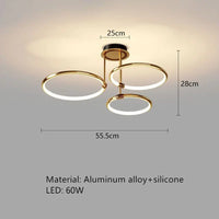 Black and gold LED ceiling light
