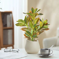 Artificial ficus tree for indoor or outdoor decoration