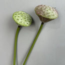 Artificial lotus plant real touch floral decoration for interiors