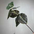 Set of 2 decorative artificial green plants in plastic