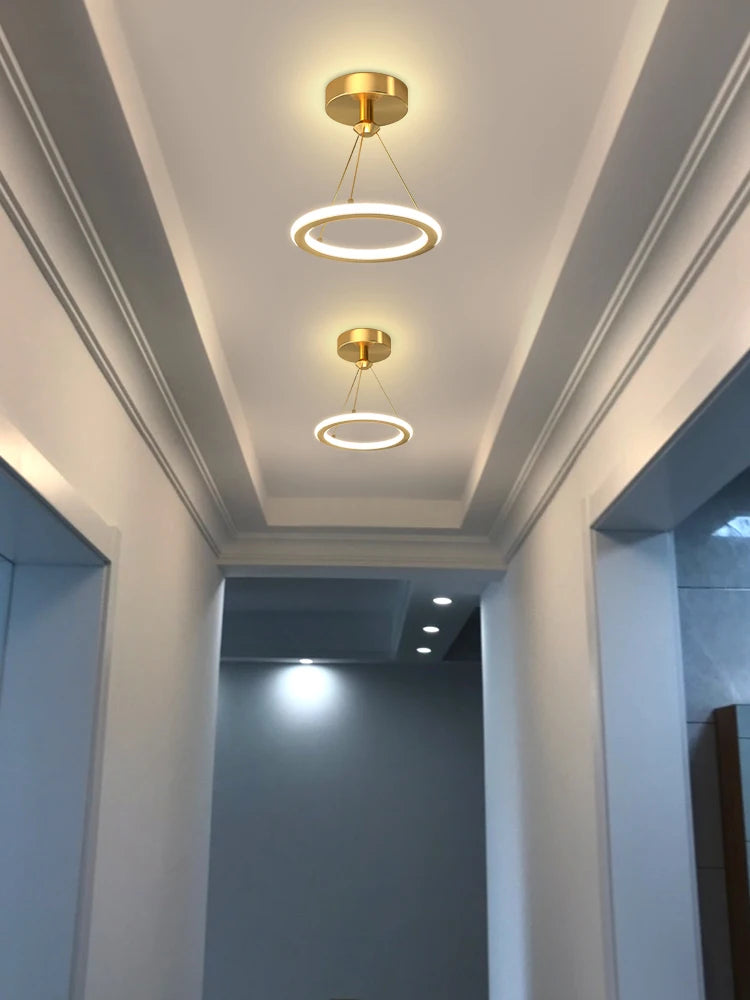 Modern LED chandelier for interior decoration and general lighting - vue 5 sur 8