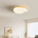 Led ceiling light for bedroom, living room, kitchen, indoor home smart lamp