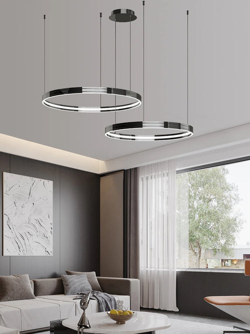 Modern metal chandelier for elegant indoor lighting - vue 3 sur 16
