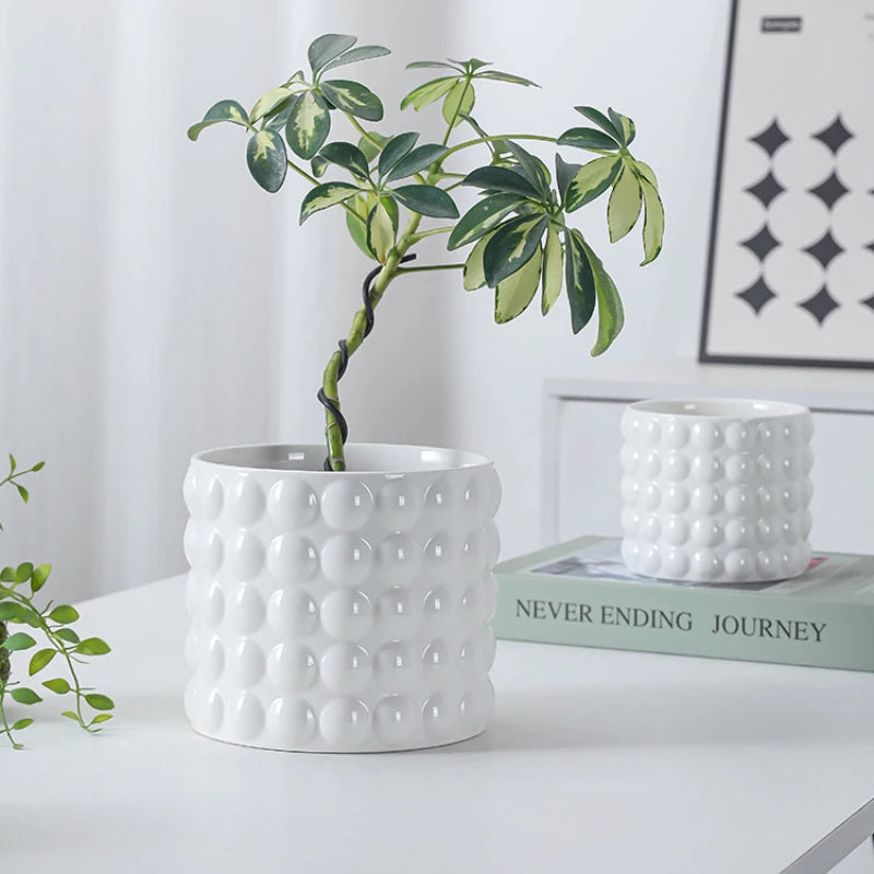 ceramic pots for succulents european style indoor
