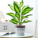Large artificial tropical plant with leaves for indoor decoration