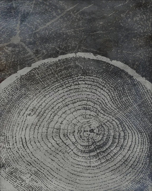 affiches abstraites sur les anneaux des arbres décoration murale nordique