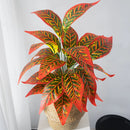 Artificial tropical tree decorative foliage for indoor and outdoor