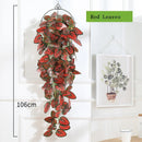 Decorative hanging plants for garden and weddings