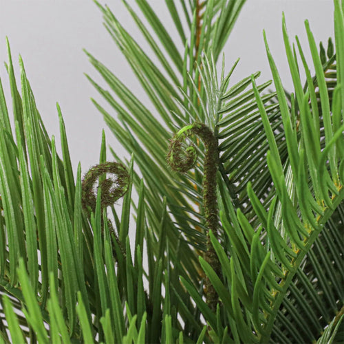 Artificial palm plants for indoor and outdoor decoration - vue 7 sur 8