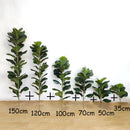 Large artificial ficus plant for indoor and outdoor decoration
