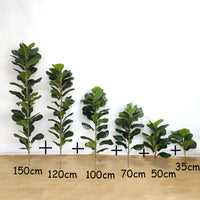 Large artificial ficus plant for indoor and outdoor decoration