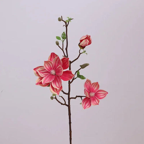 Artificial magnolia branches for indoor decoration - vue 9 sur 14