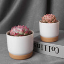 Double layer automatic flower pot for succulent plants