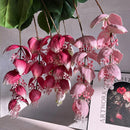 Tropical medinilla magnifica artificial flowers for indoor decoration