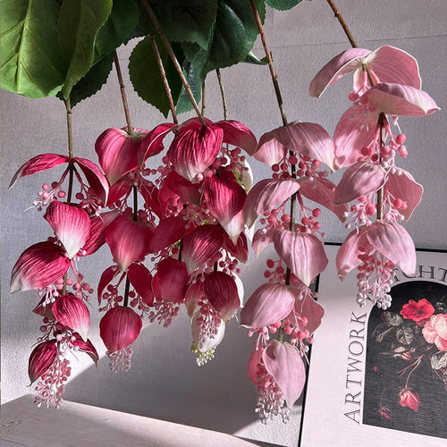 Tropical medinilla magnifica artificial flowers for indoor decoration - vue 5 sur 9