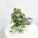 Artificial hanging plants begonia and silk fern vines