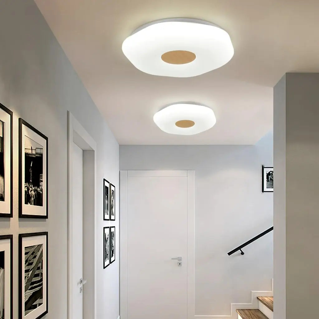 Vintage LED ceiling lights for retro industrial home décor
