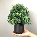 Artificial eucalyptus tree for indoor and outdoor decoration