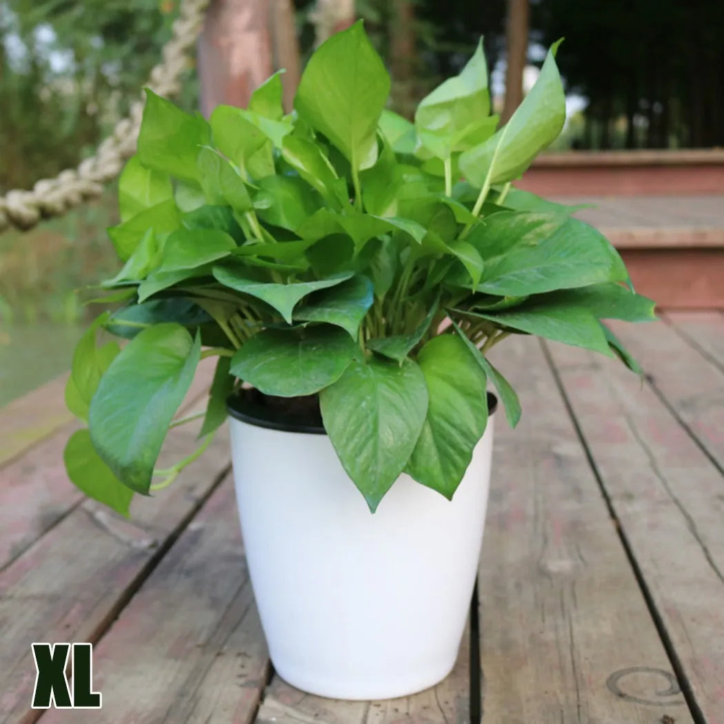 Automatic plastic plant pot with porcelain effect - vue 7 sur 12