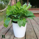 Automatic plastic plant pot with porcelain effect