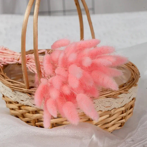Dried bunny tail grass bouquet for festive decorations - vue 8 sur 23