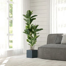 Realistic artificial ficus for indoor and outdoor decoration