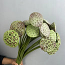 Artificial lotus plant real touch floral decoration for interiors