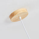 modern wooden pendant light with interior LED lighting