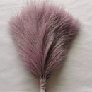 Set of artificial pampas for wedding and party decoration