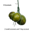 Artificial coconut tree large green plant for indoor decoration